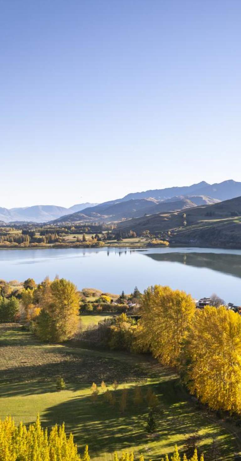 An aerial shot of Lake Hayes on an autumn day