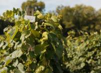 The Finale of the 2026 Norton Wine Tour