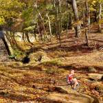 2 York County Parks in 1 Day: How to Explore Kings Mountain State + Kings Mountain National Military