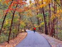 bicycle rider on a paved trail with fall colors