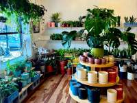 plant shop