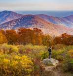 Shenandoah National Park Fall