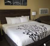 king size in hotel room