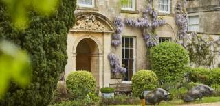 The entrance to The Pig Near Bath with wisteria