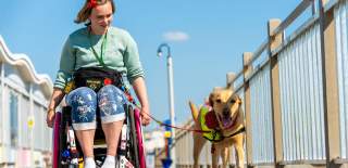 A wheelchair user and their dog on the Grand Pier at Weston-super-Mare near Bristol - credit The Grand Pier