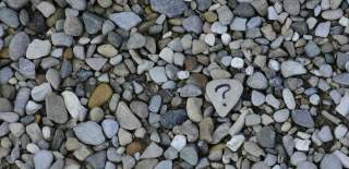 A collection of pebbles, one of which has a question mark drawn on it