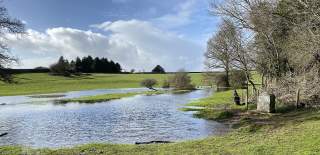 The meadow flooded at the source of the Thames and the stone