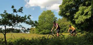 People on mountain bikes in field