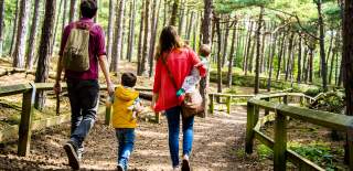 Family walking in Formby Woods