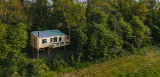 Elmore Court treehouse in a wood clearing