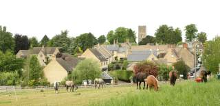 A view across a field with horses in towards Charlbury