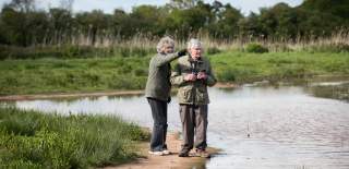 Budleigh bird watching