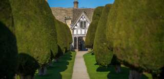 The famous yew trees in Painswick churchyard