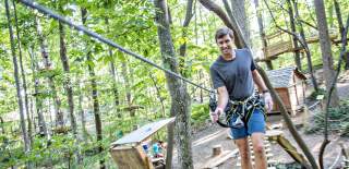 tree bridge adventure