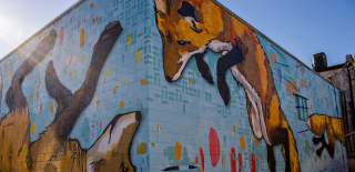Murals & Public Art