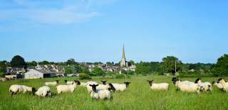A view across fields towards Tetbury