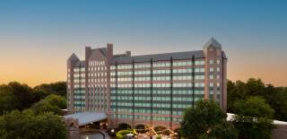 hilton