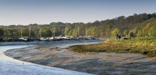 people walking along the Wivenhoe Trail the tide is out and boats in the background