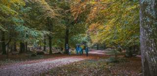 Family walking in the New Forest in the autumn