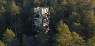 Utsiktstårn i tett skog