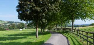 A tree-lined, quiet countryside road stretches through green fields