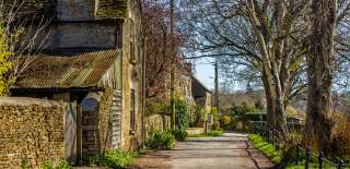 Quiet lane in Charlbury lined with stone buildings, bordered by trees and greenery under a bright blue sky.