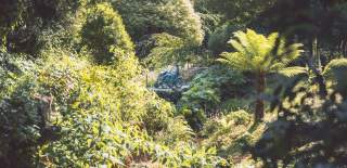 Batsford Arboretum with a tramper in the shot
