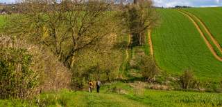 Green countryside field with a narrow dirt path stretching into the distance, bordered by hedges and trees, with two people walking along the path under a partly cloudy sky.