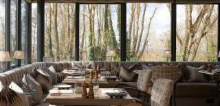 Panoramic views of trees through the large windows with muted-toned dining area at Hook