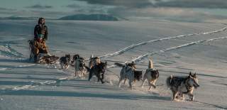 Fjord Husky, Sogndal