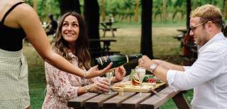 Tinwood vineyard