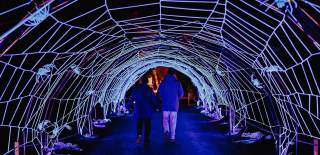 Two people walking through a tunnel made of white spider webs covered in giant spiders at Blenheim Palace