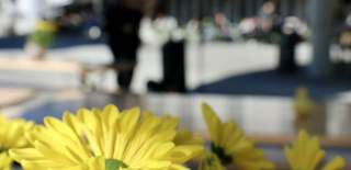 Gule blomster i forgrunnen med et torg og bygninger i bakgrunnen.