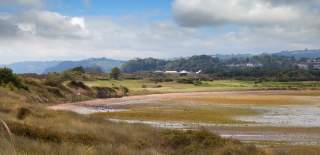 dawlish warren nature reserve