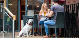 Dog sat at table with couple at eatery at holiday park in the New Forest