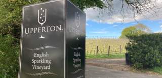 Upperton Vineyard