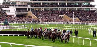 Horses racing at Cheltenham Racecourse