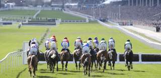 Cheltenham Racecourse