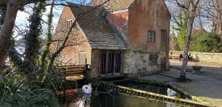 Front view of The Old Mill with swan in the water