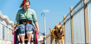 A wheelchair user and their dog on the Grand Pier at Weston-super-Mare near Bristol - credit The Grand Pier