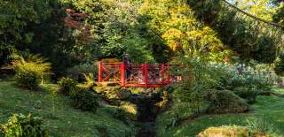 Man and dog on the bridge at Batsford Arboretum