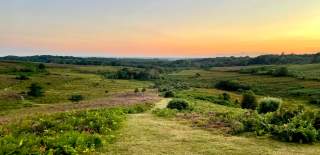 Sunset in the summer at Burley in the New Forest