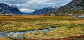 Nørstedalen, Breheimen-Nationalpark