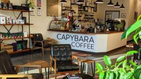 Capybara Coffee