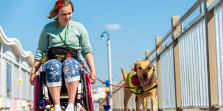 A wheelchair user and their dog on the Grand Pier at Weston-super-Mare near Bristol - credit The Grand Pier