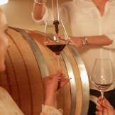 About Our Wines