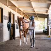 An equestrian competitor walks her horse through a stable