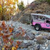 Fall Pink Jeep Scenic Outdoor Attraction