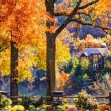 Cabin at Big Cedar Lodge surrounded by autumn foliage near Branson, MO