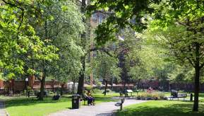 Image of a park